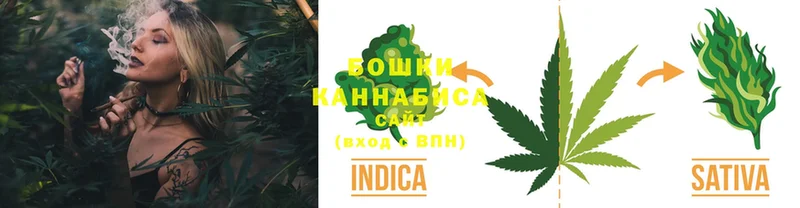 Канабис Bruce Banner  Межгорье 